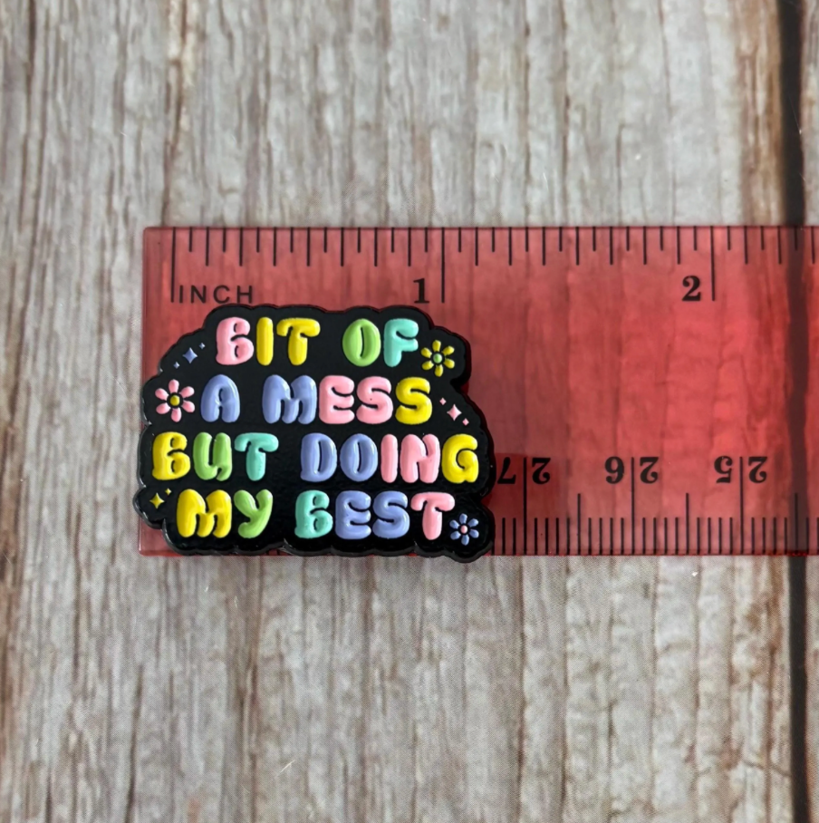 Bit of a Mess But Doing My Best Needle Minder